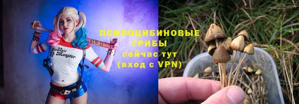 амф Белоозёрский