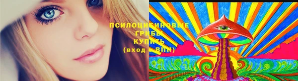 молекула духа Белокуриха