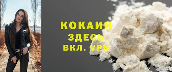 молекула духа Белокуриха