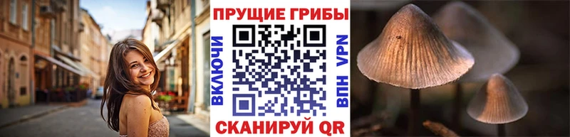 Галлюциногенные грибы мицелий  Купить  Михайловск 